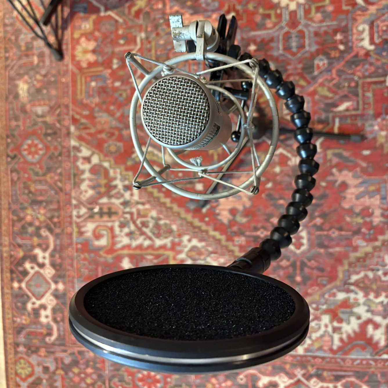 Micro et anti-pop filter Micro et anti-pop filter